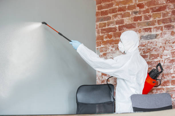Best Airborne Mold Testing  in Mantachie, MS