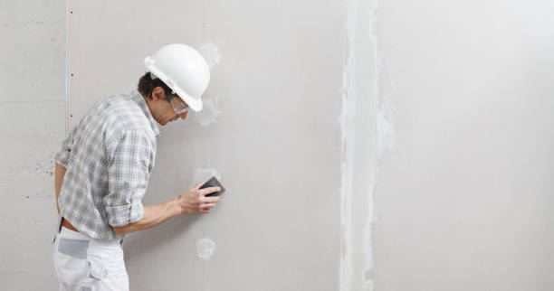 Best HVAC Mold Inspection and Cleaning  in Mantachie, MS