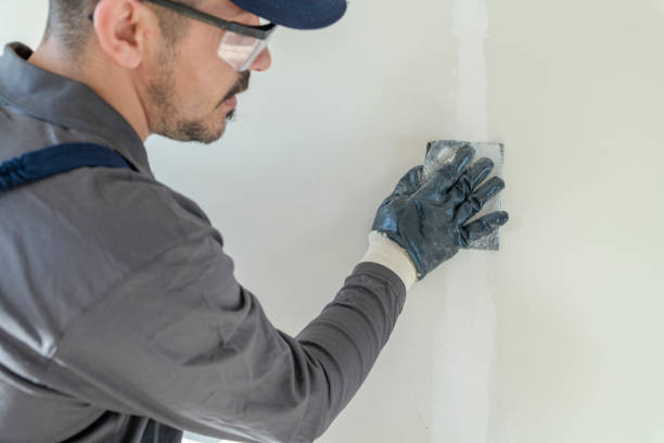 Best Mold Odor Removal Services  in Mantachie, MS