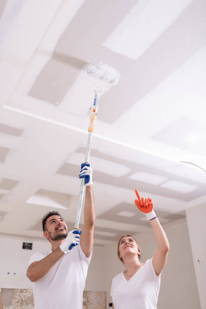 Best Comprehensive Air Testing for Mold Contaminants  in Mantachie, MS