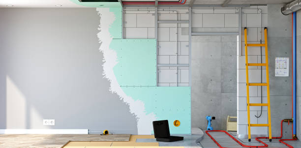 Best Emergency Mold Remediation  in Mantachie, MS