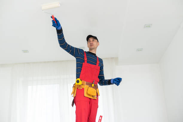 Best Mold Prevention Services  in Mantachie, MS