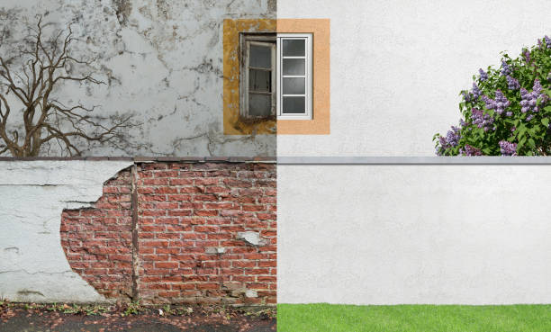 Best Environmental Consulting for Mold Prevention  in Mantachie, MS
