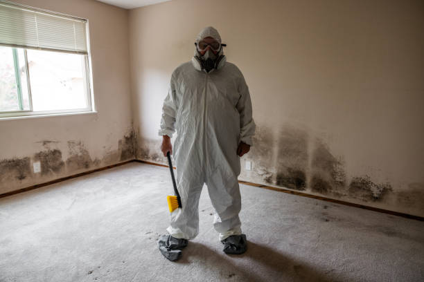 Best Air Quality Testing for Mold Spores  in Mantachie, MS
