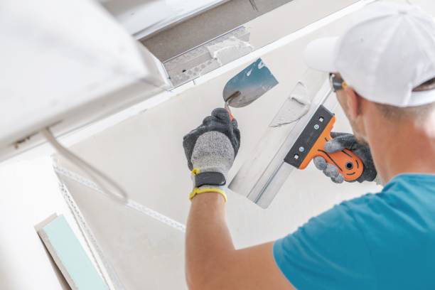Best Real Estate Mold Inspection  in Mantachie, MS